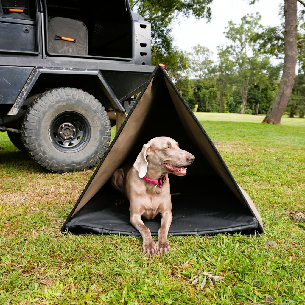 Dog Swag
