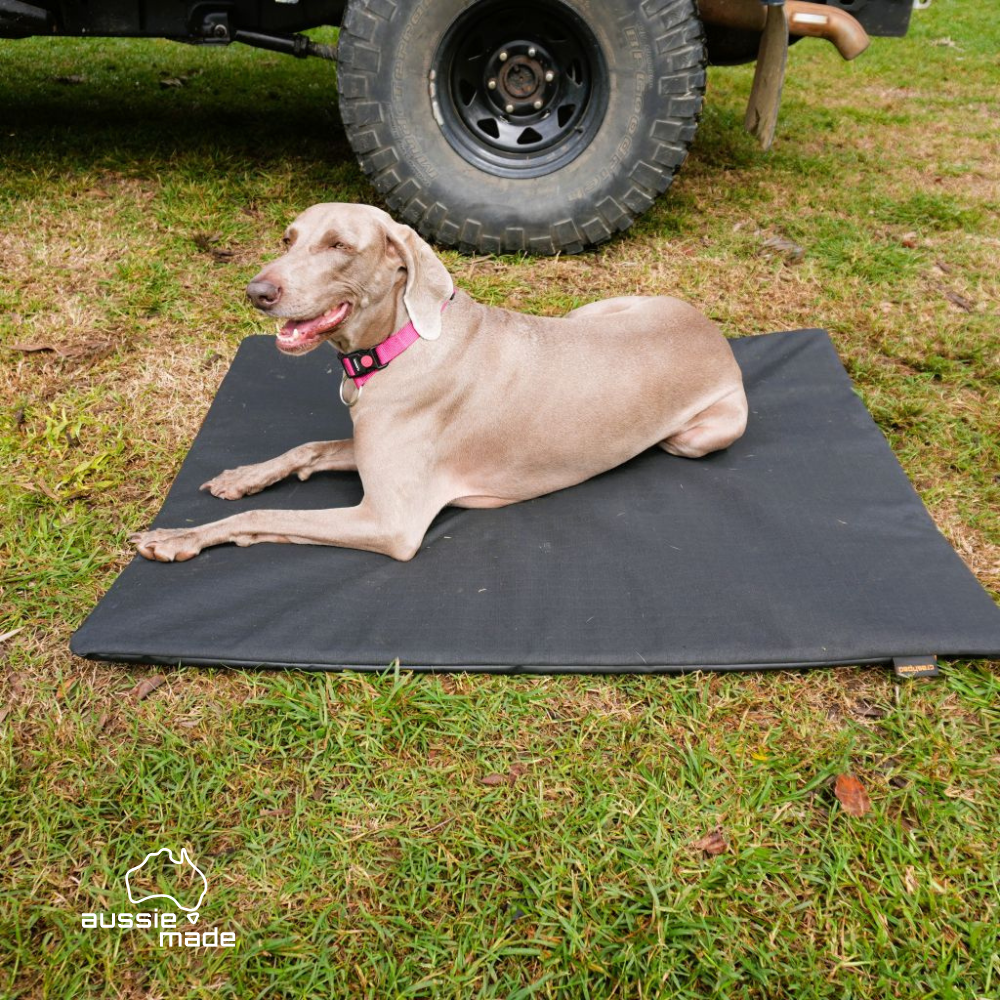 Canvas Dog Bed - Australian Made